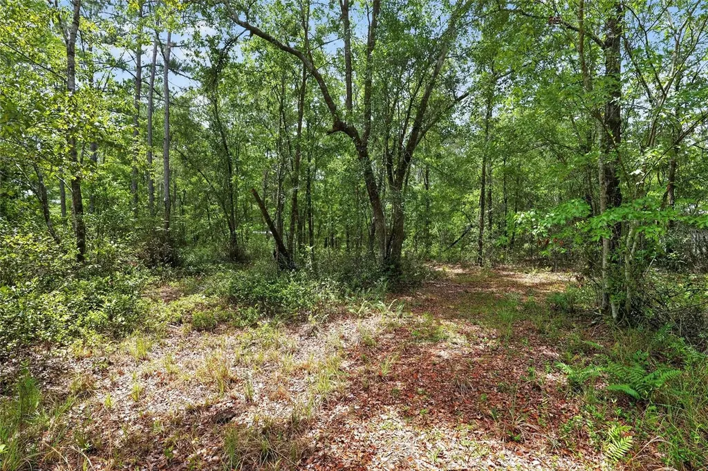 1504 NW 156th Avenue Gainesville FL 32609