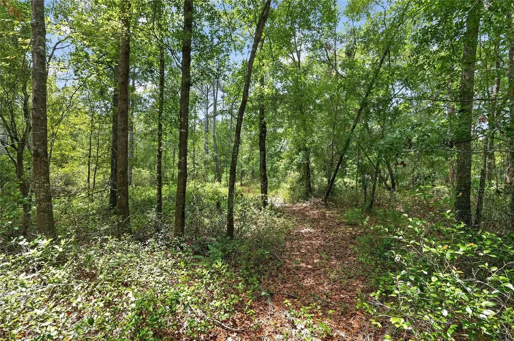 1504 NW 156th Avenue Gainesville FL 32609