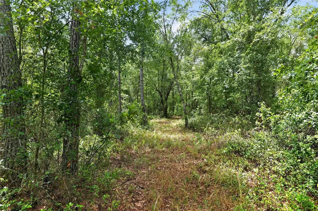 1504 NW 156th Avenue Gainesville FL 32609