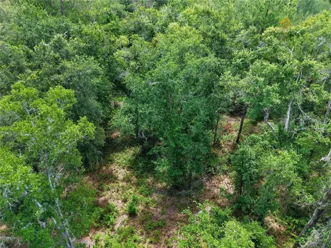 1504 NW 156th Avenue Gainesville FL 32609