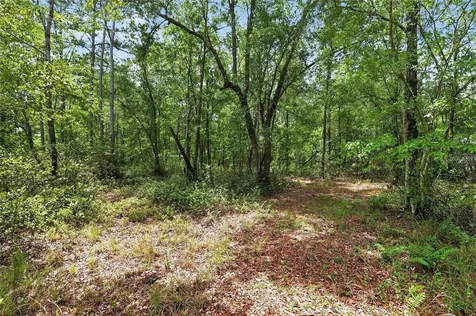 1504 NW 156th Avenue Gainesville FL 32609