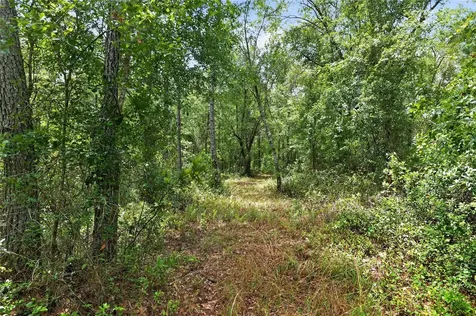 1504 NW 156th Avenue Gainesville FL 32609