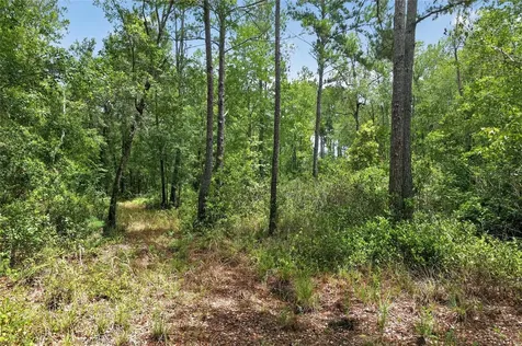 1504 NW 156th Avenue Gainesville FL 32609