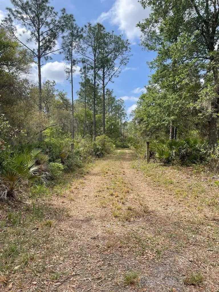 E Highway 318 Citra FL 32113