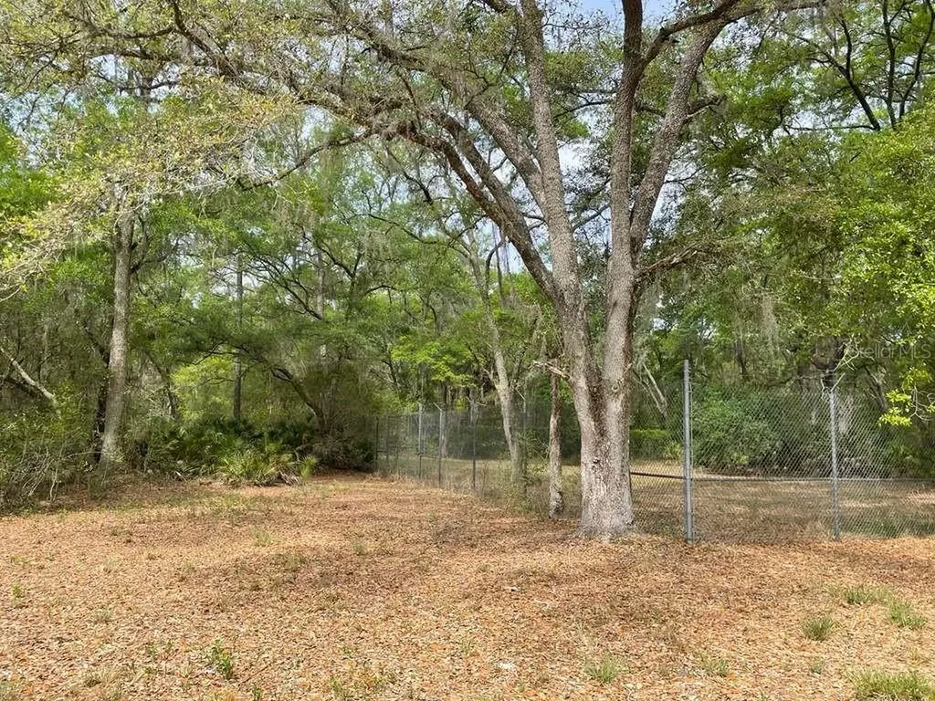 E Highway 318 Citra FL 32113