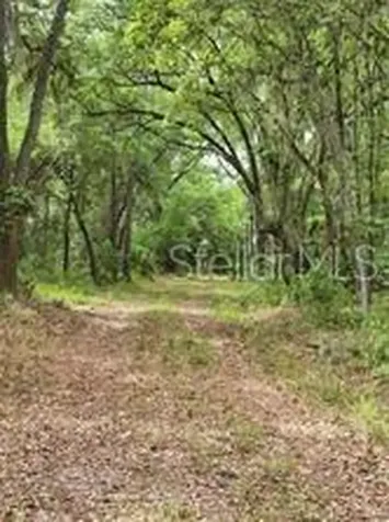E Highway 318 Citra FL 32113