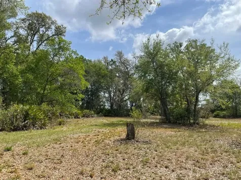 E Highway 318 Citra FL 32113