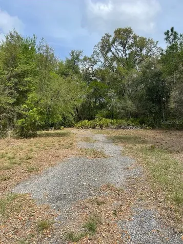 E Highway 318 Citra FL 32113