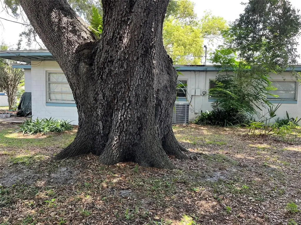7110 Alvina Way Orlando FL 32822
