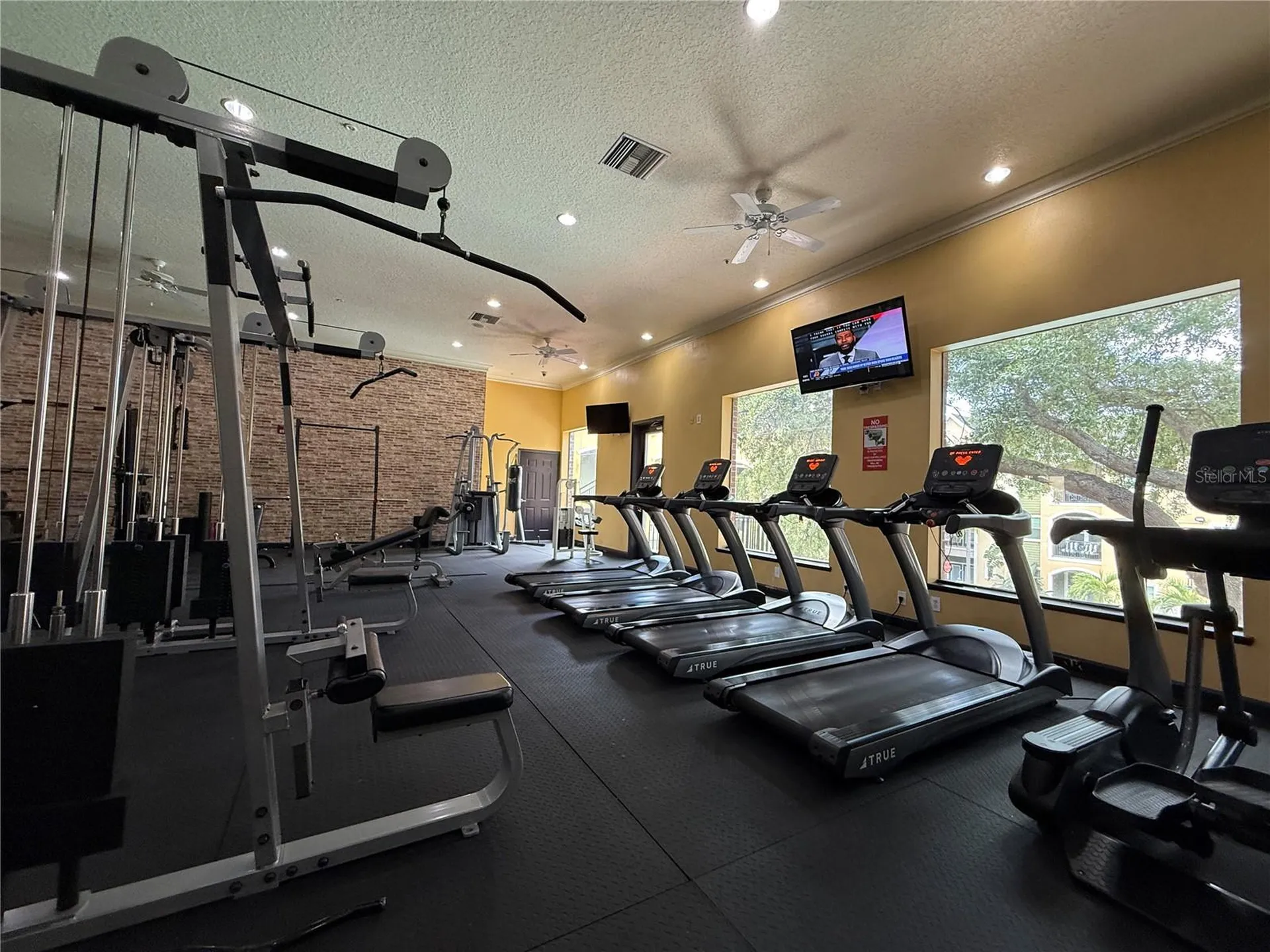 1810 E Palm Avenue Tampa FL 33605