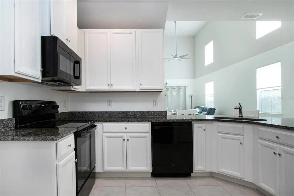 2120 Laceflower Drive Brandon FL 33510