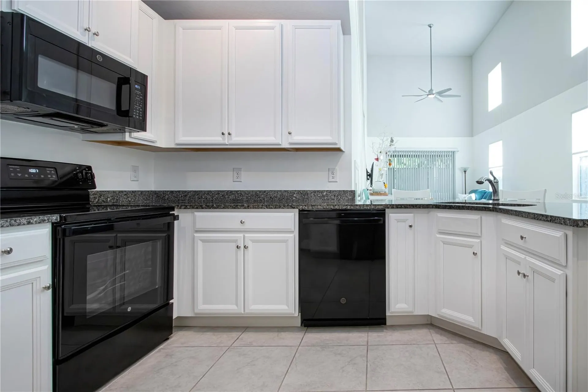 2120 Laceflower Drive Brandon FL 33510