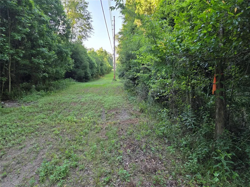 15929 NW 135th Terrace Alachua FL 32615