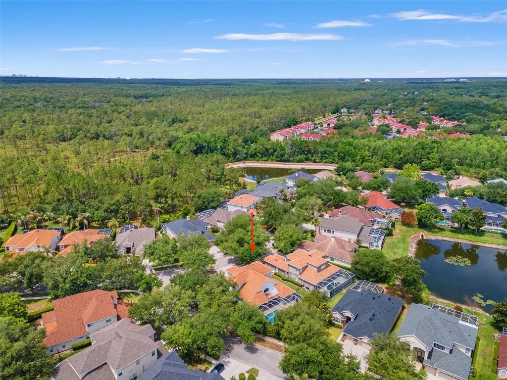 10117 Deercliff Drive Tampa FL 33647