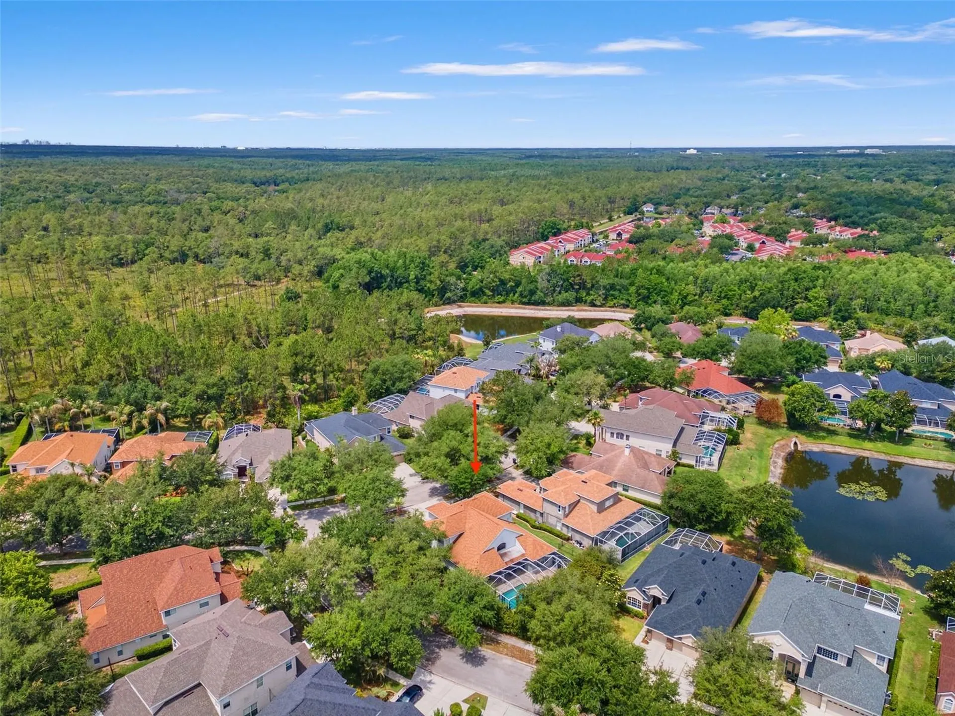 10117 Deercliff Drive Tampa FL 33647