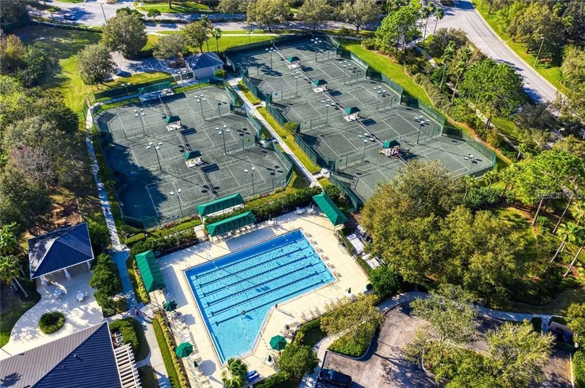 10117 Deercliff Drive Tampa FL 33647