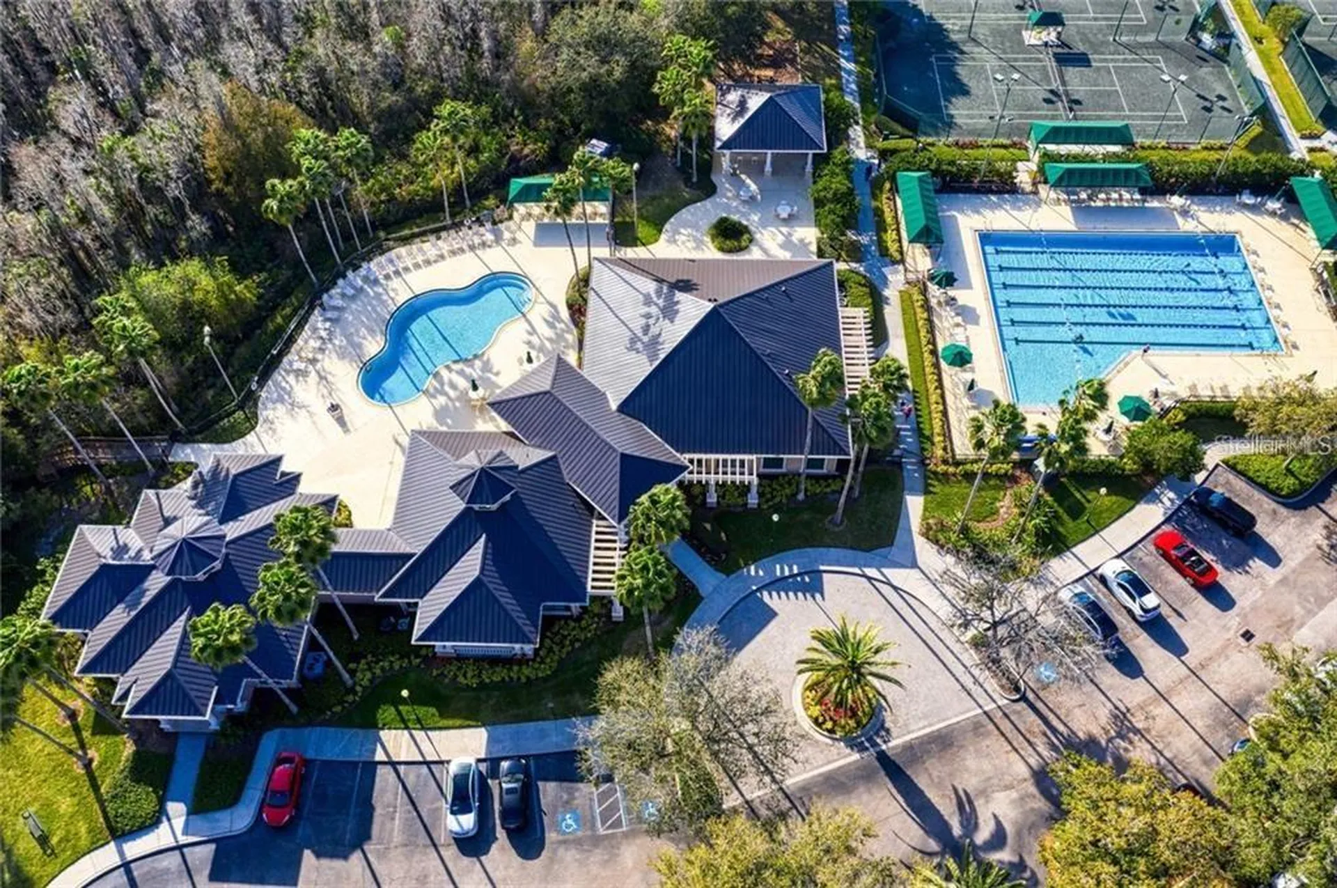 10117 Deercliff Drive Tampa FL 33647