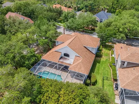 10117 Deercliff Drive Tampa FL 33647