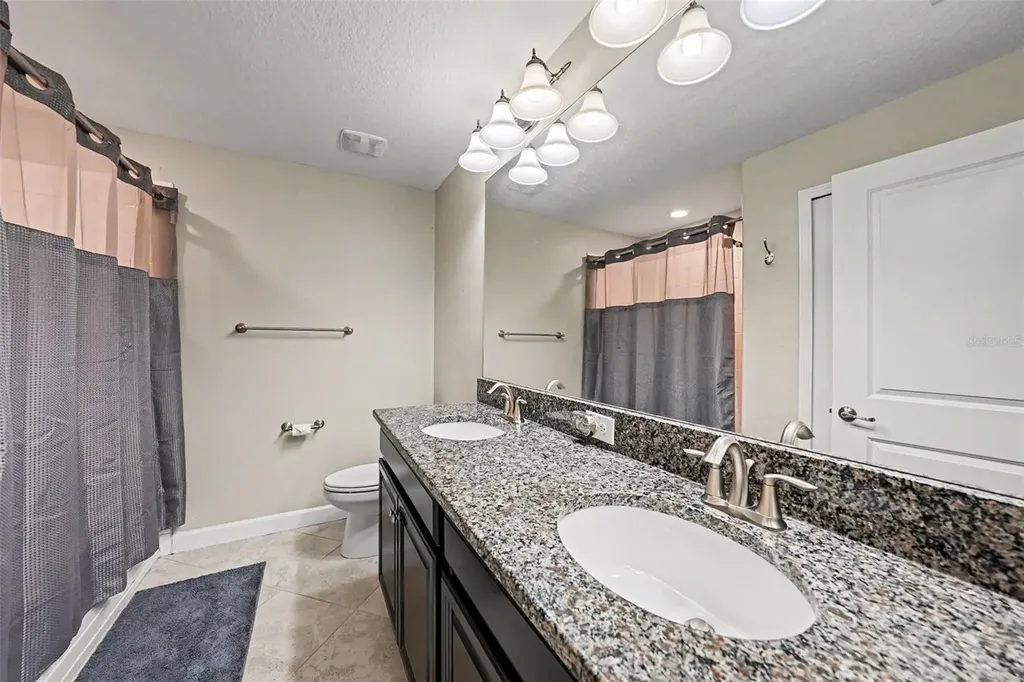 28504 Tranquil Lake Circle Wesley Chapel FL 33543
