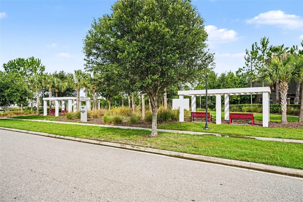 28504 Tranquil Lake Circle Wesley Chapel FL 33543