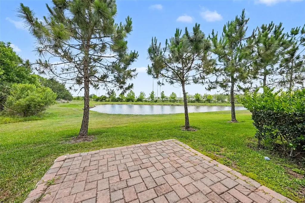28504 Tranquil Lake Circle Wesley Chapel FL 33543