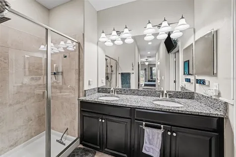 28504 Tranquil Lake Circle Wesley Chapel FL 33543