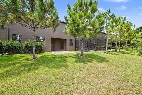 28504 Tranquil Lake Circle Wesley Chapel FL 33543