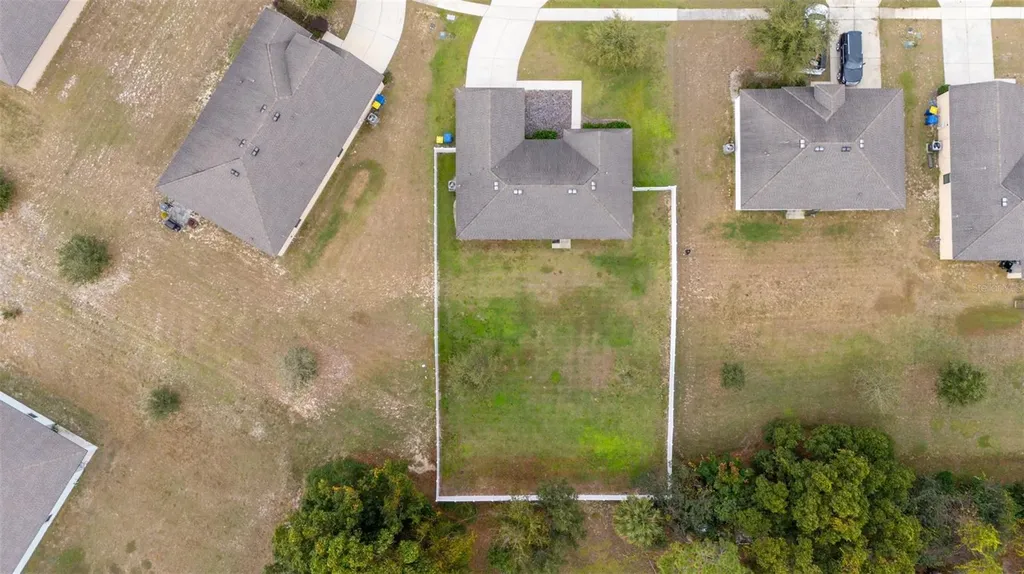 1896 Piedmont Court Mascotte FL 34753