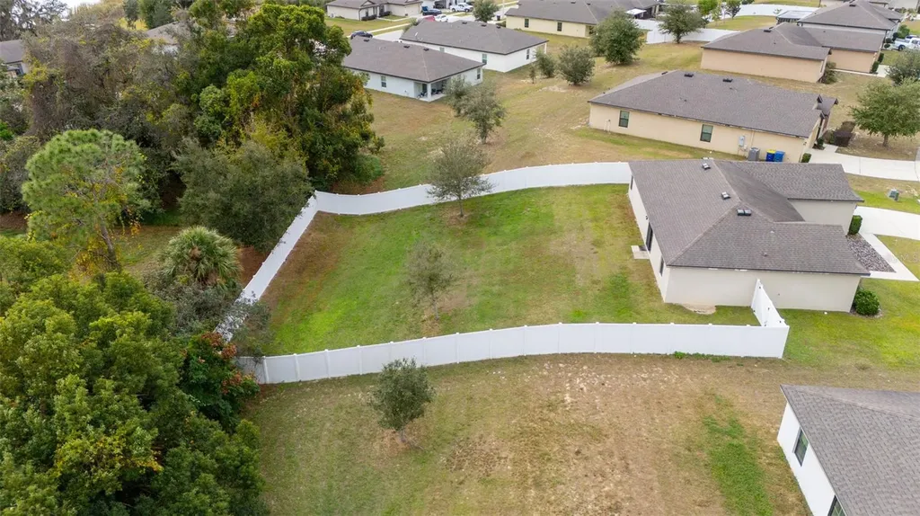 1896 Piedmont Court Mascotte FL 34753