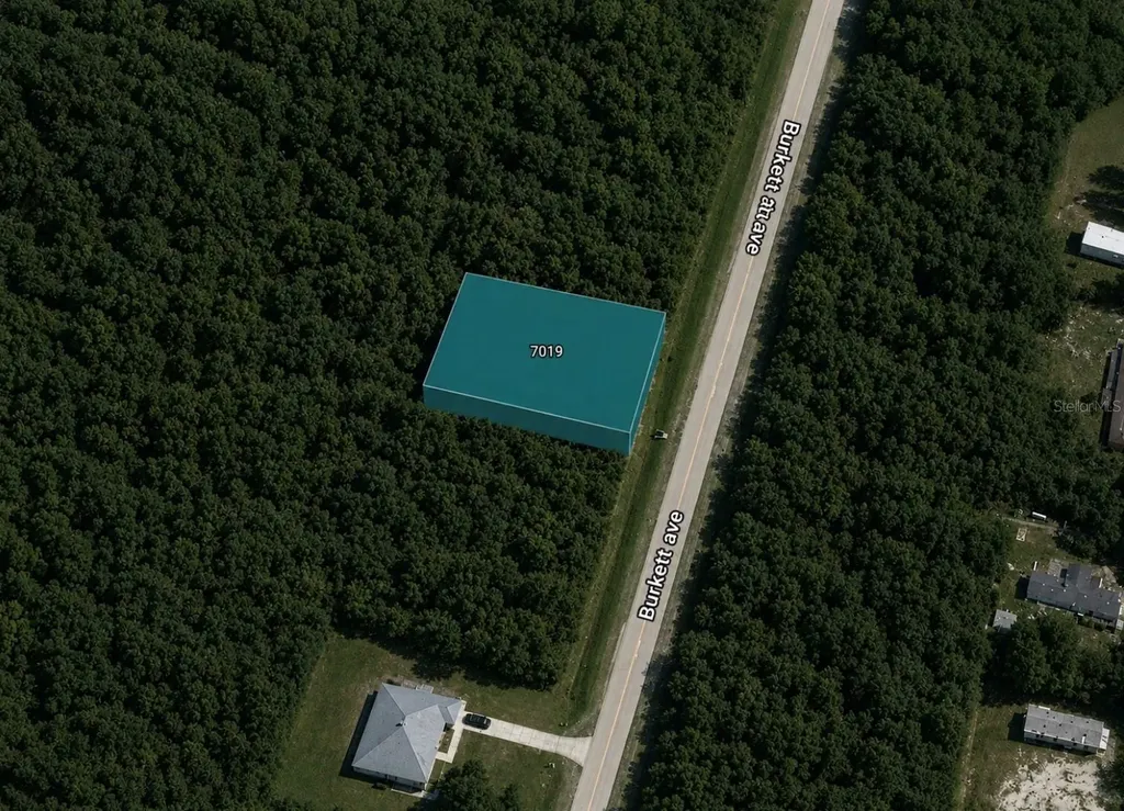 7019 Burkett Avenue Sebring FL 33875