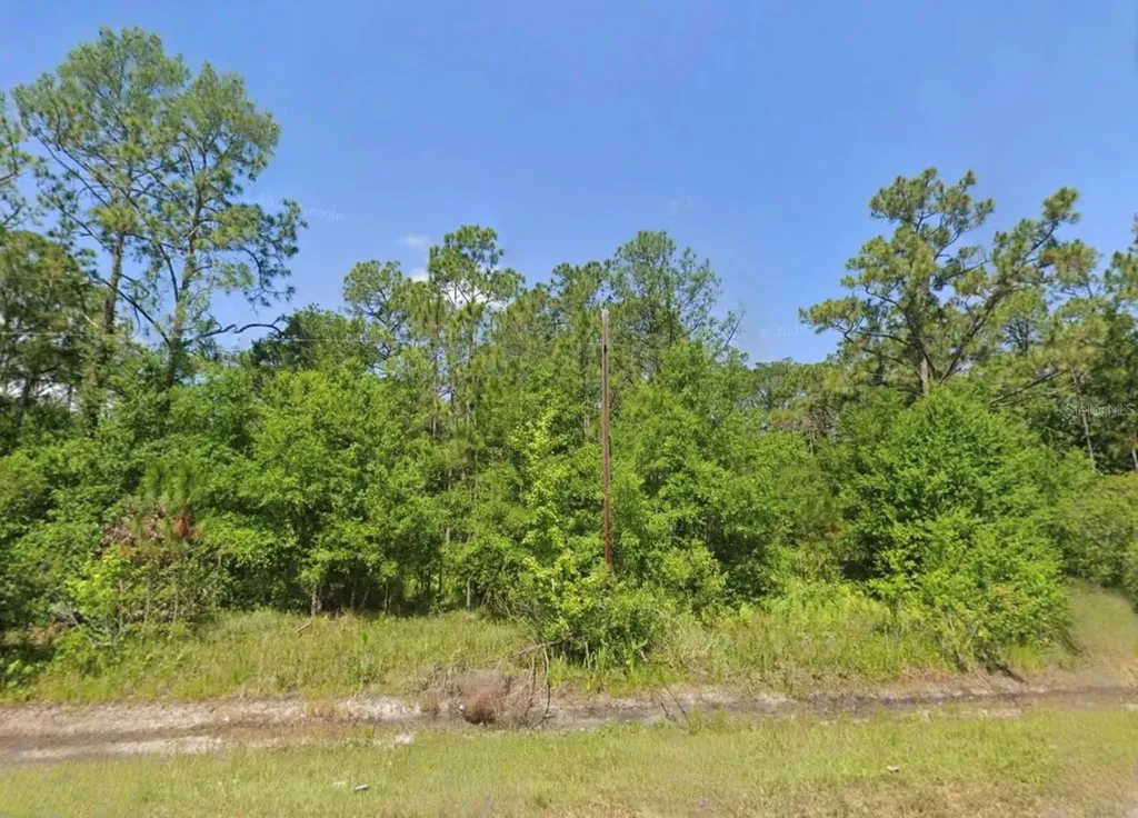 7019 Burkett Avenue Sebring FL 33875