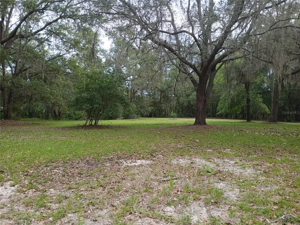 6320 SE 91st Trail Trenton FL 32693