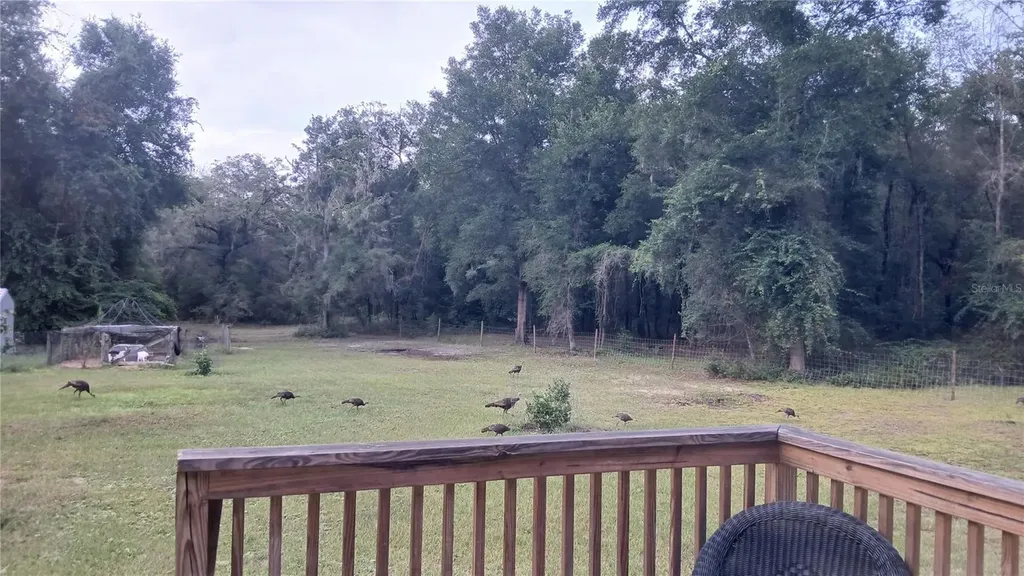 6320 SE 91st Trail Trenton FL 32693