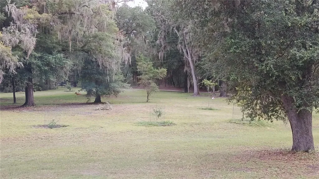 6320 SE 91st Trail Trenton FL 32693