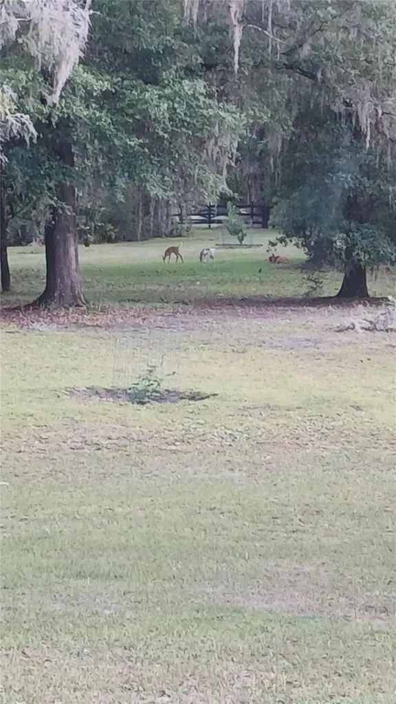 6320 SE 91st Trail Trenton FL 32693