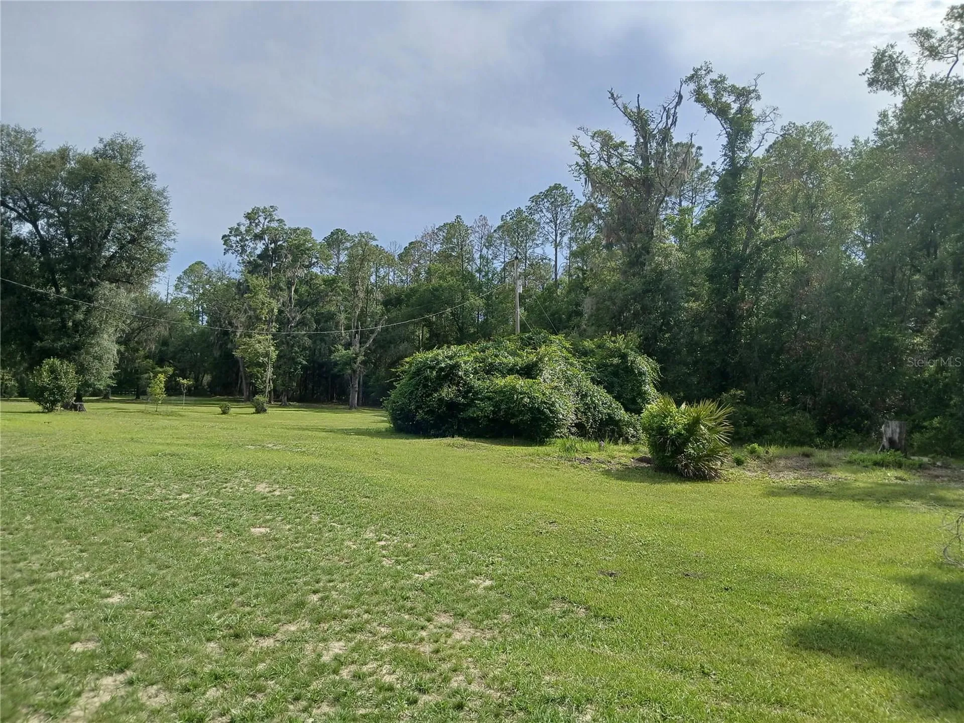 6320 SE 91st Trail Trenton FL 32693