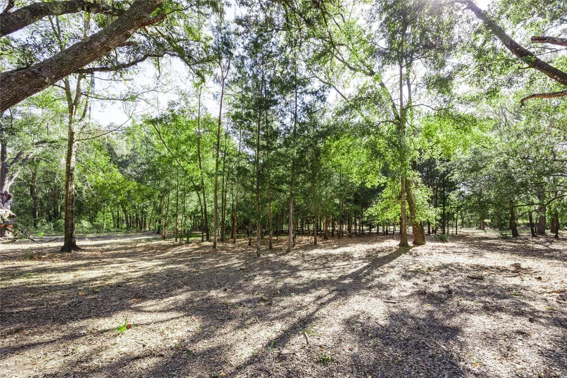 6320 SE 91st Trail Trenton FL 32693