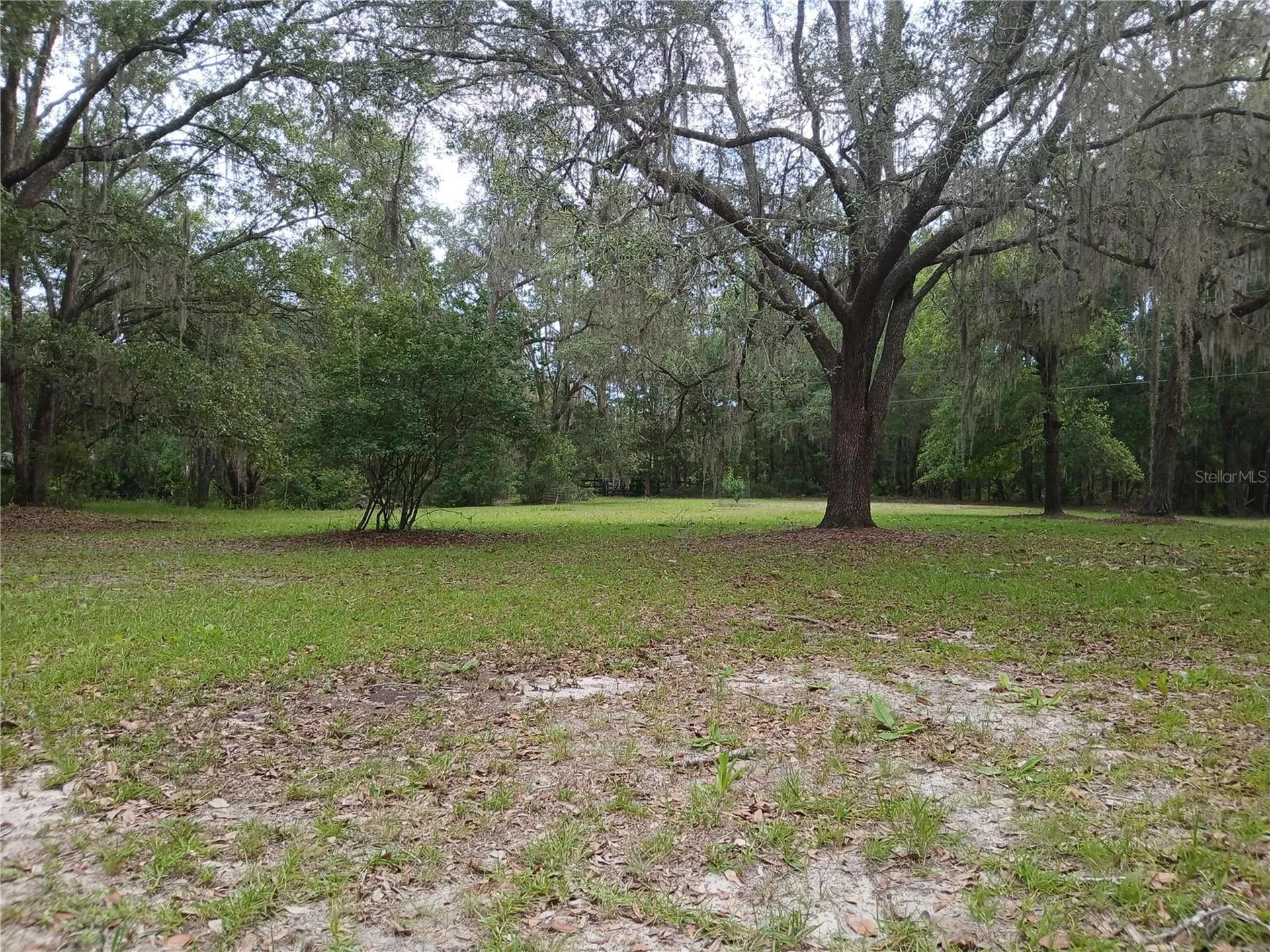 6320 SE 91st Trail Trenton FL 32693