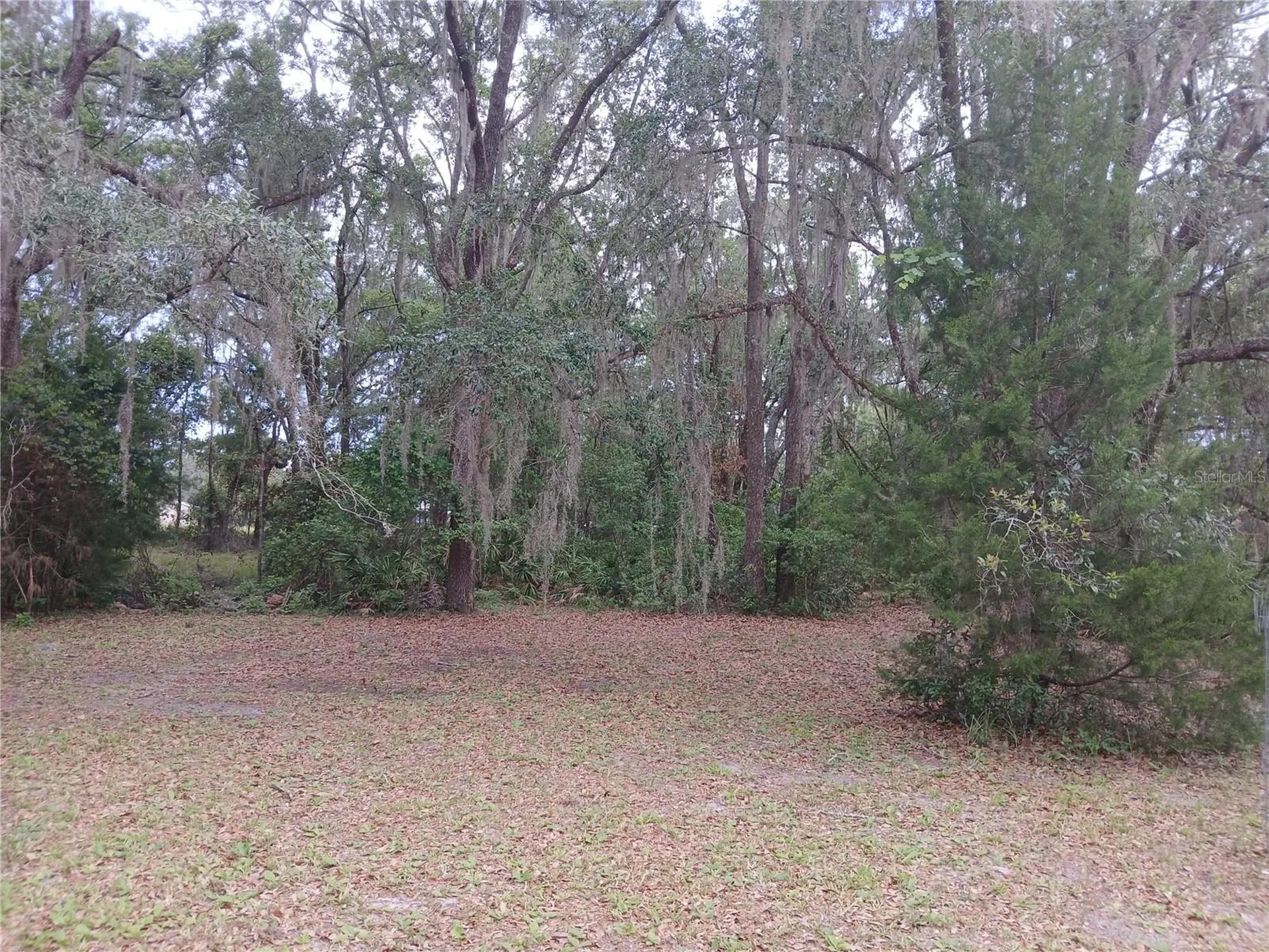 6320 SE 91st Trail Trenton FL 32693