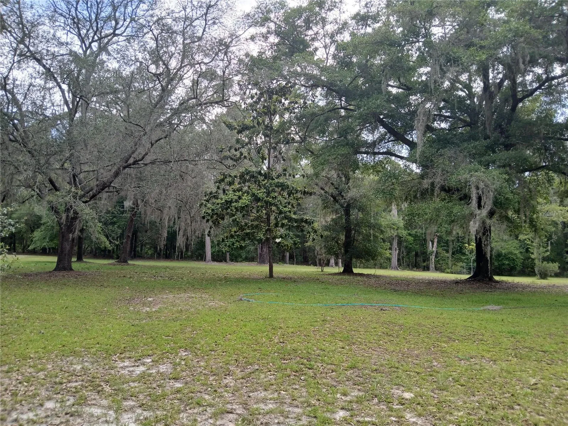 6320 SE 91st Trail Trenton FL 32693