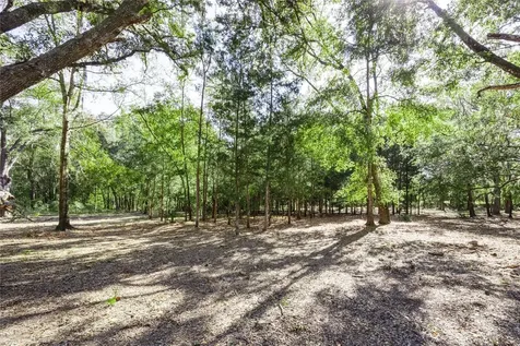 6320 SE 91st Trail Trenton FL 32693