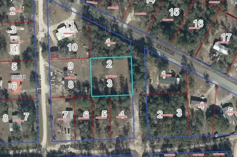 Lot 2&3 NE 95th Avenue Bronson FL 32621