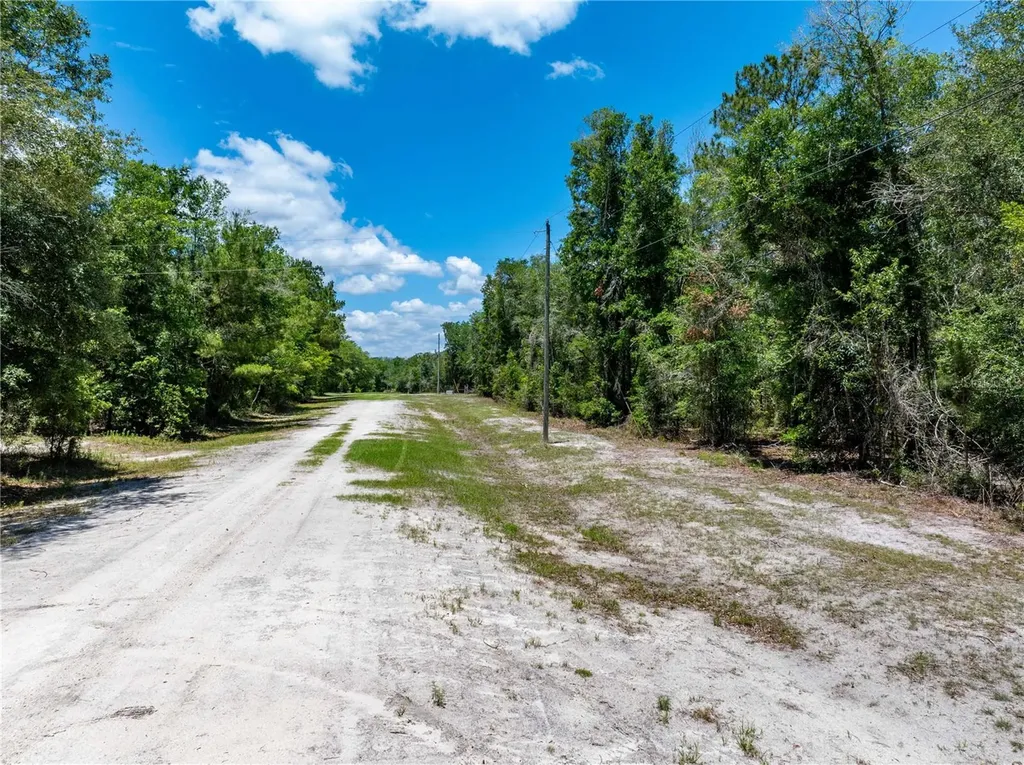 Lot 46 SW Roanoke Terrace Fort White FL 32038