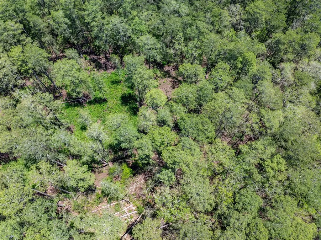 Lot 46 SW Roanoke Terrace Fort White FL 32038