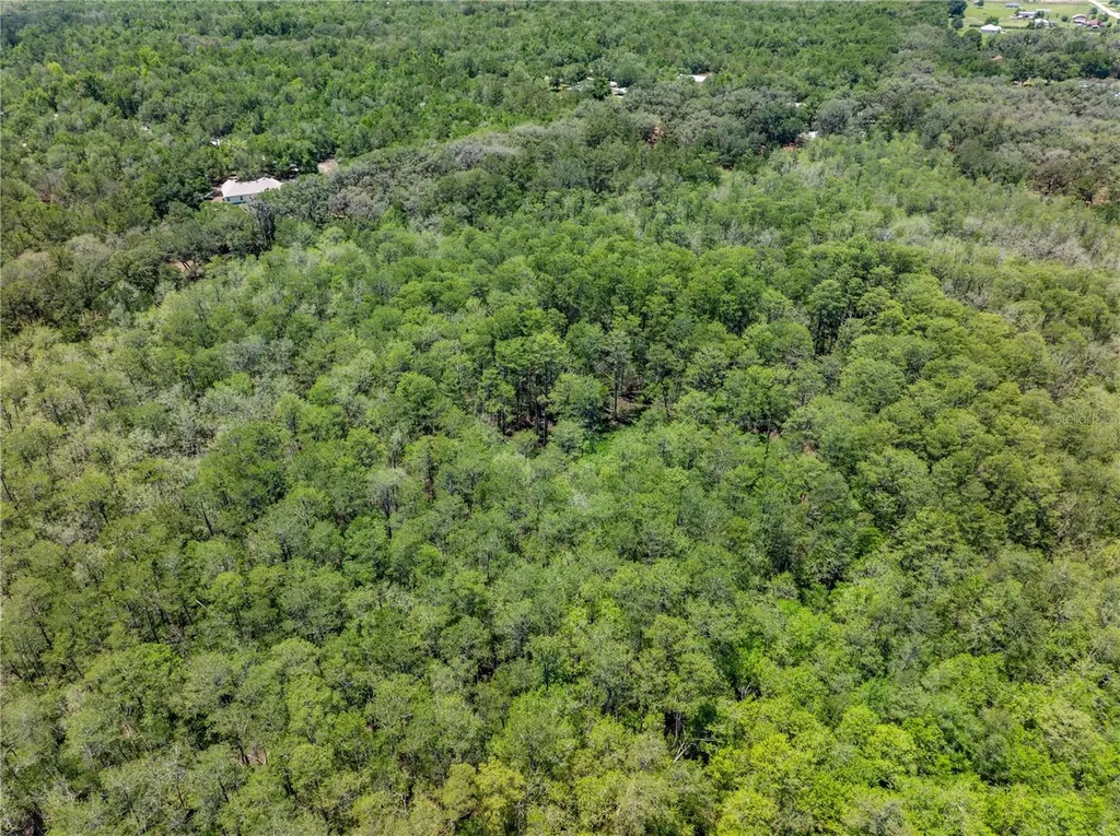 Lot 46 SW Roanoke Terrace Fort White FL 32038
