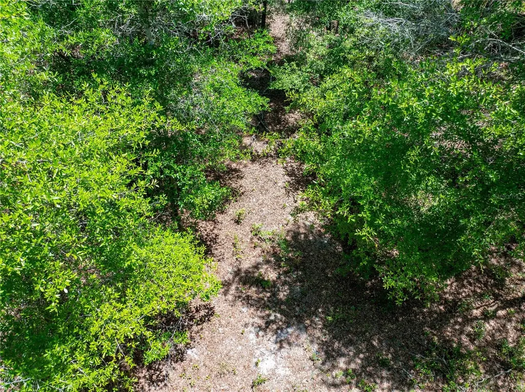 Lot 46 SW Roanoke Terrace Fort White FL 32038