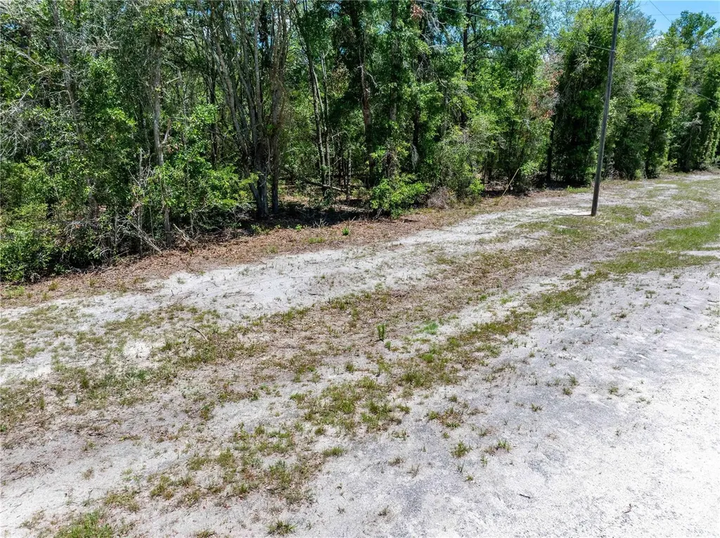 Lot 46 SW Roanoke Terrace Fort White FL 32038