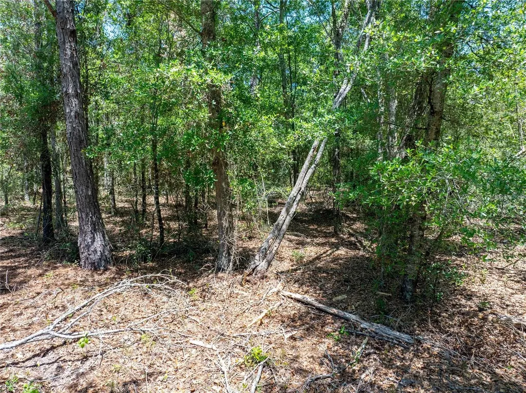 Lot 46 SW Roanoke Terrace Fort White FL 32038