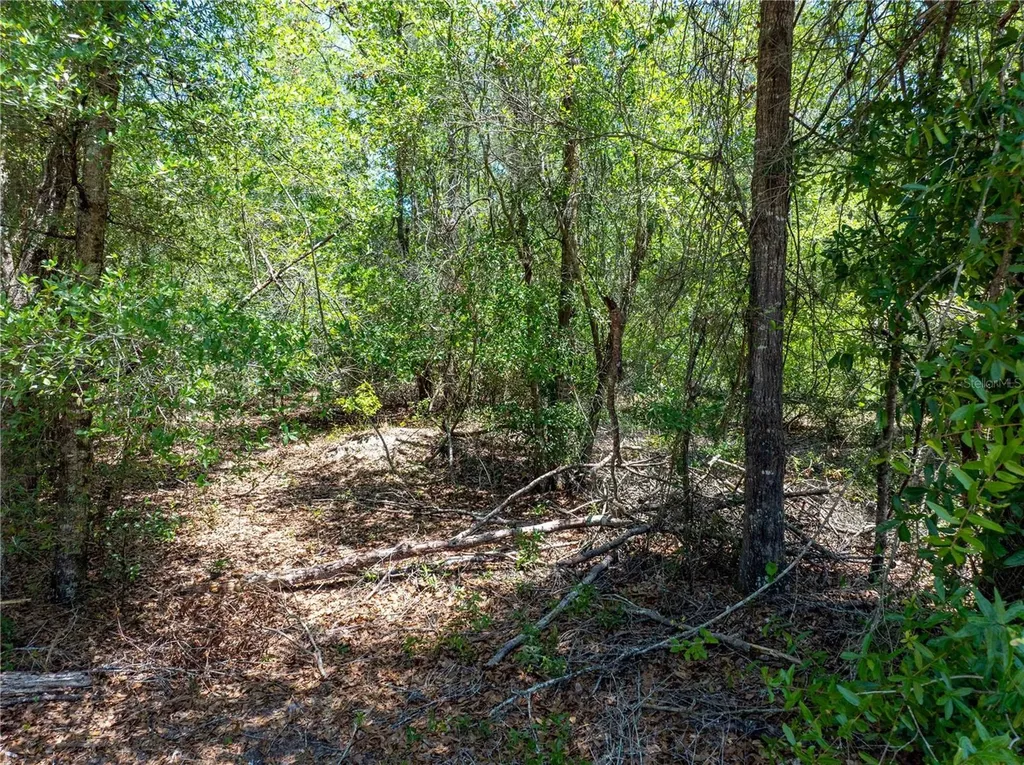 Lot 46 SW Roanoke Terrace Fort White FL 32038