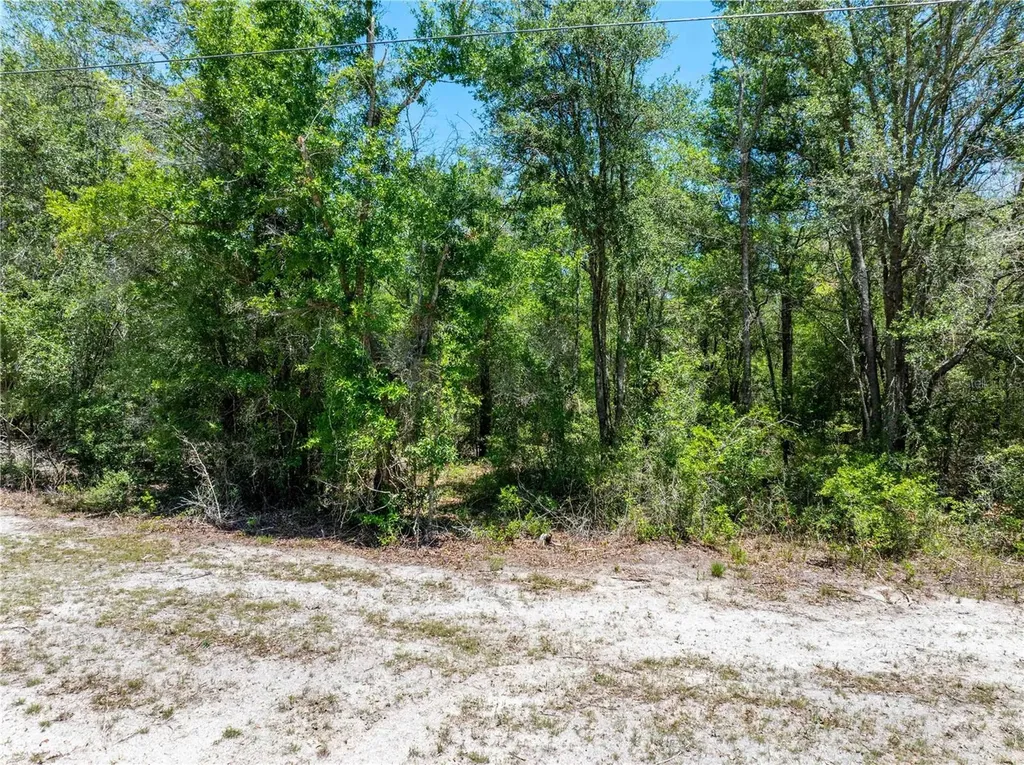 Lot 46 SW Roanoke Terrace Fort White FL 32038